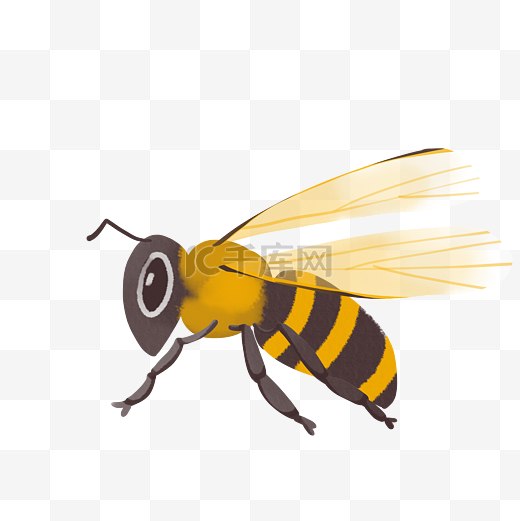 飞翔的大黄蜂图片
