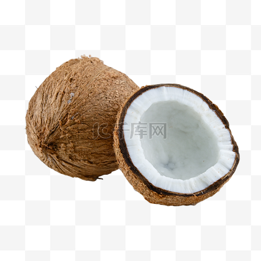椰子水果椰子树圆形图片