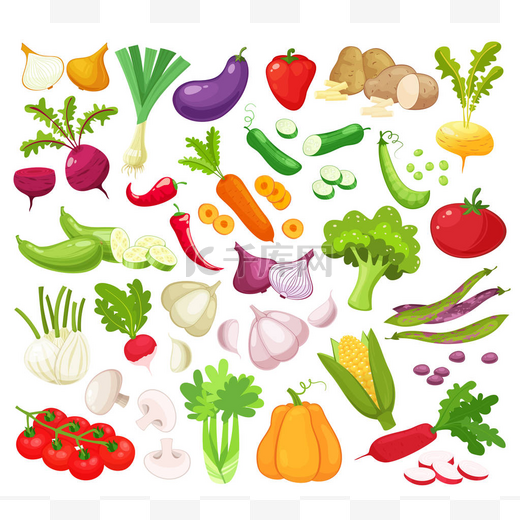 蔬菜与切片孤立现实图标与辣椒茄子大蒜蘑菇小胡瓜番茄洋葱黄瓜矢量图图片
