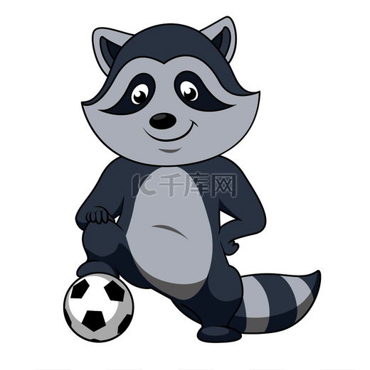 俏皮微笑的卡通浣熊足球运动员角色站在足球上用爪子。图片