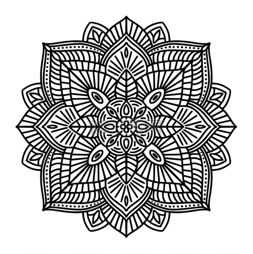 黑白花卉民族曼陀罗白色背景矢量插图图片