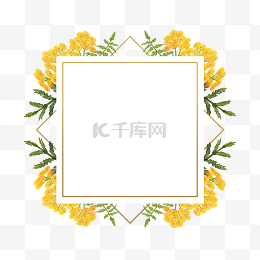 艾菊花卉水彩浪漫边框图片