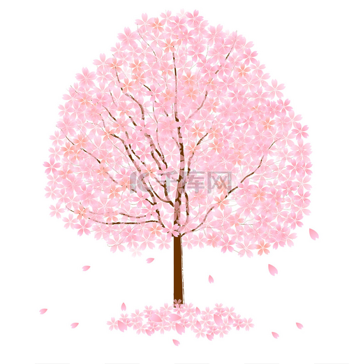 樱花的粉红色背景图片