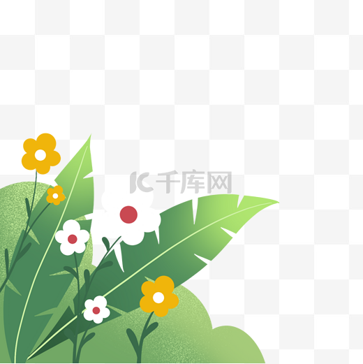 绿色植物花朵叶子图片
