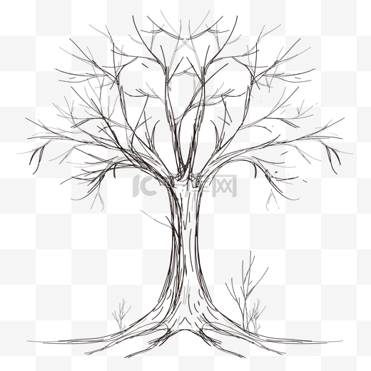 线条线描素描树木树干图片