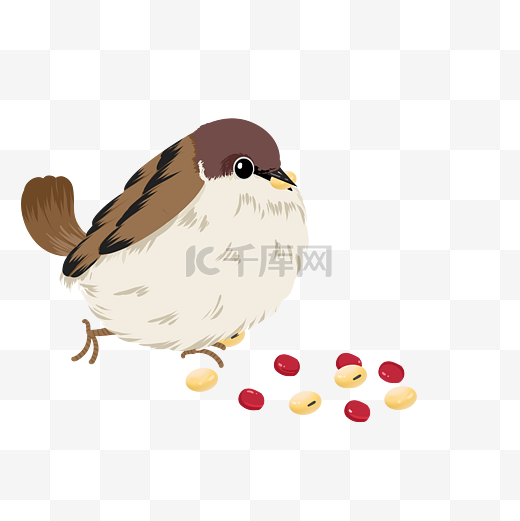 麻雀觅食吃豆子图片
