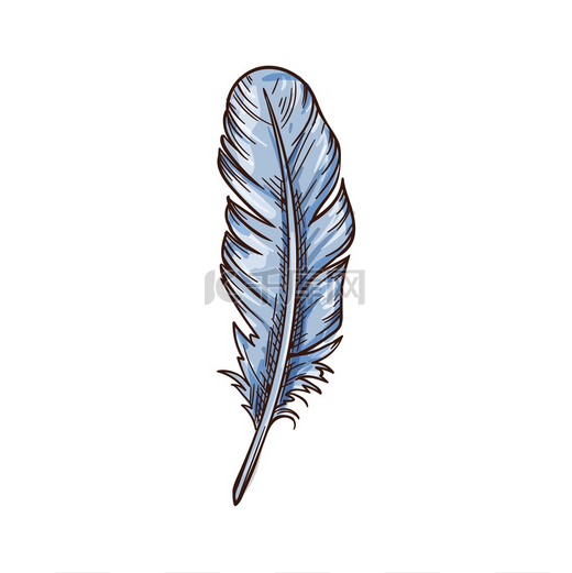 羽毛羽毛笔素描图标矢量隔离羽毛笔或复古文学和诗歌写作用品复古羽毛羽毛笔素描图标图片