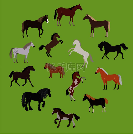 不同品种的马的插图。图片