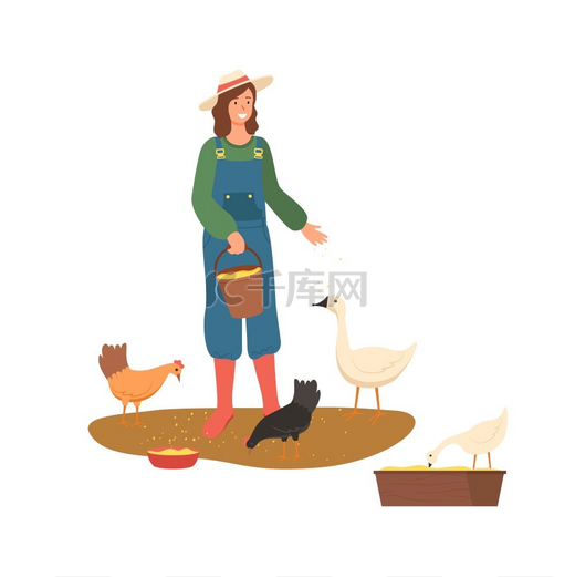 农场病媒上的人、戴帽子的农业女性喂养母鸡和鹅农业以及家养动物的生长孤立的农民扁平风格。图片