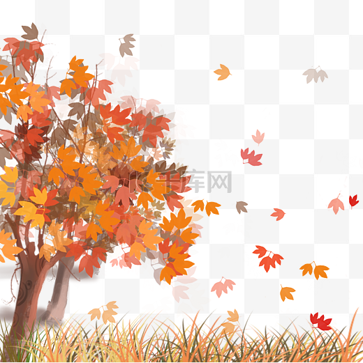 秋天枫树枫叶底边图片