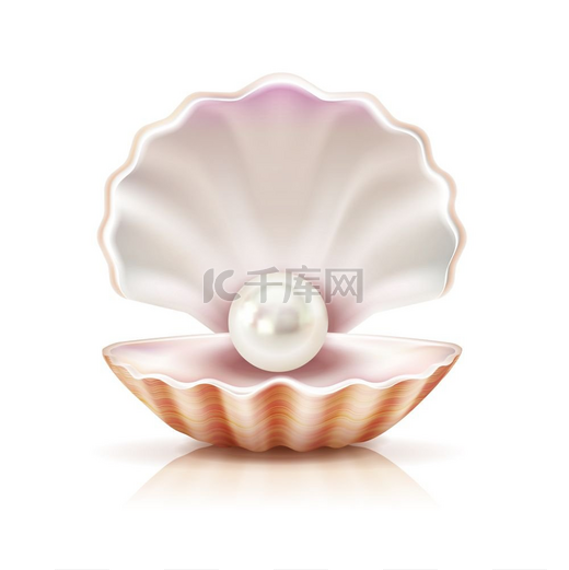 贝壳珍珠逼真的孤立图像珍珠母在淡水或贝壳软体动物的开放外壳中闪闪发光特写逼真的图像矢量插图图片