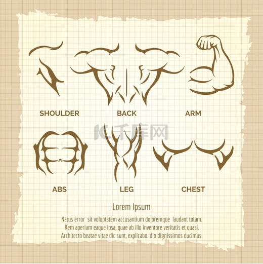 健美复古海报男性肌肉元素健美复古海报矢量雄性肌肉元素图片
