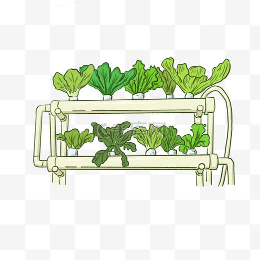 无土栽培智慧农业卡通蔬菜绿叶菜图片