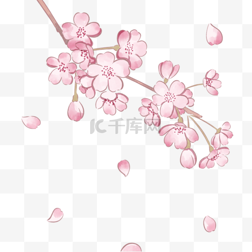 粉色简单春季樱花图片