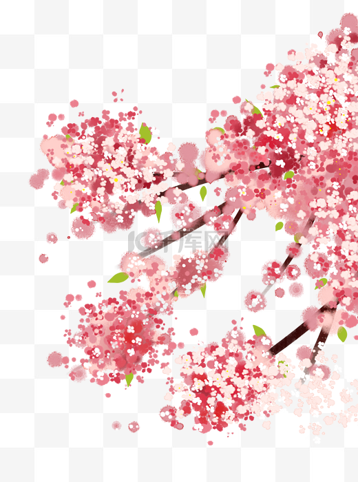 樱花季春天樱花绽放图片