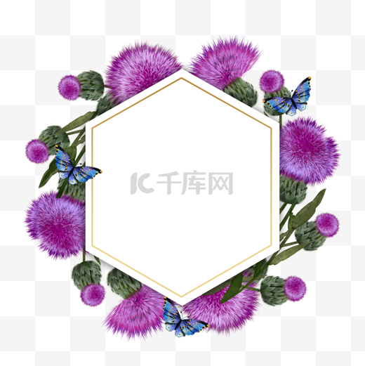 蓟花卉蝴蝶紫色水彩边框图片