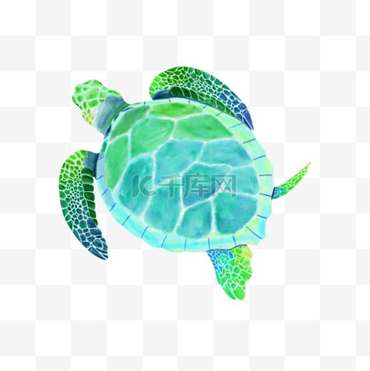 海龟水彩海洋生物图片