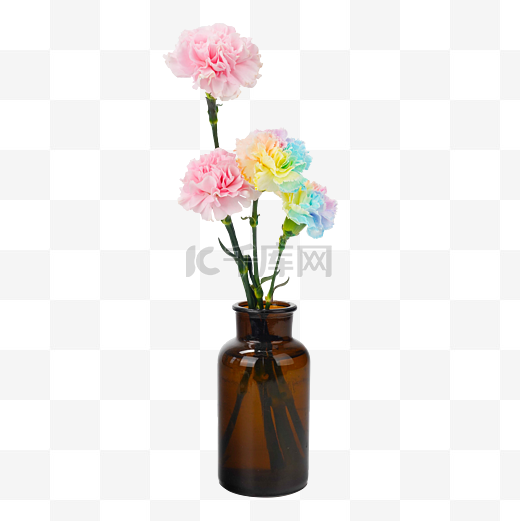 小清新彩色康乃馨花瓶摆件图片