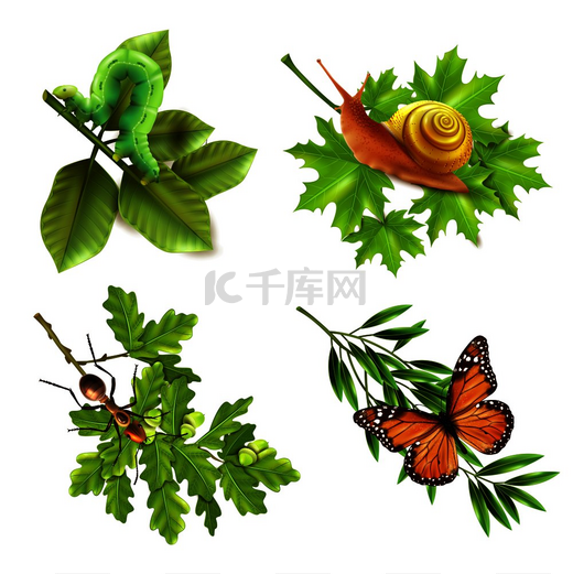 植物上的昆虫概念4个逼真的图标以毛虫蜗牛蝴蝶和蚂蚁为背景昆虫逼真图标图片