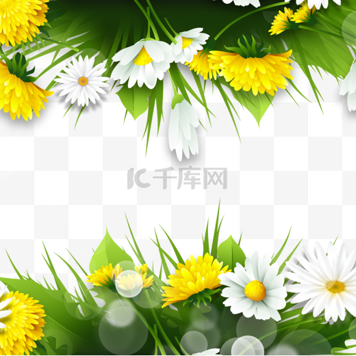 黄色菊花花朵边框图片