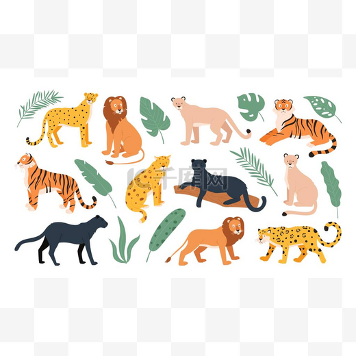 大型猫科动物，虎，狮子，猎豹和豹。草原和热带森林的野猫。美洲豹和豹平面矢量集图片