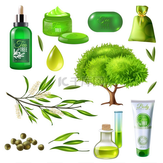 茶树套装产品茶树套装产品包括植物部分油滴肥皂面霜小袋分离载体插图图片