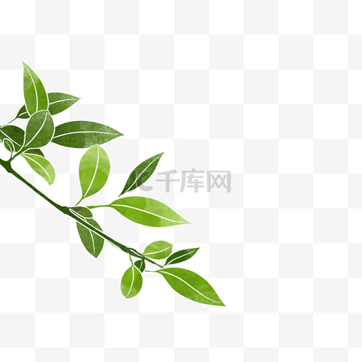 春季水彩植物绿叶图片