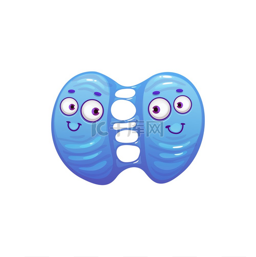 卡通病毒细胞载体图标，可爱的蓝色细菌分裂过程，快乐的细菌特征，两个细胞上有滑稽的脸分离。图片