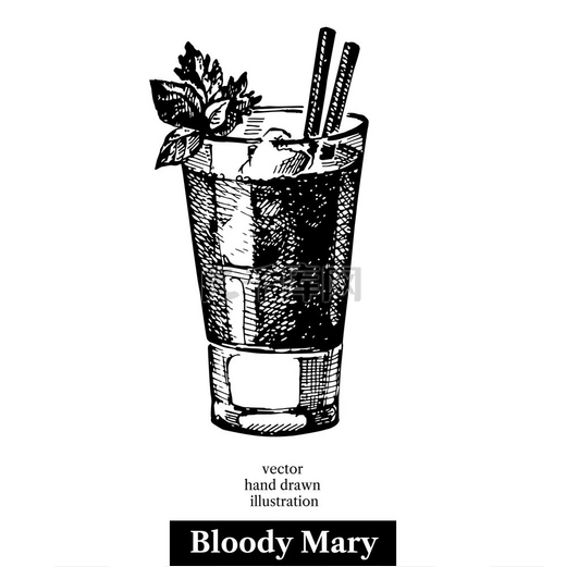 手绘素描鸡尾酒血腥玛丽复古孤立对象矢量插图图片