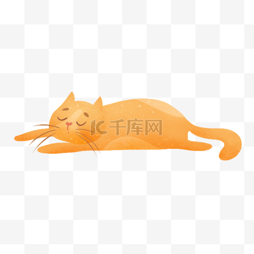 睡觉的猫咪图片