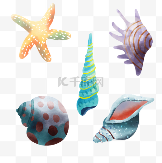 贝壳海洋水彩组合海里动物的外壳图片