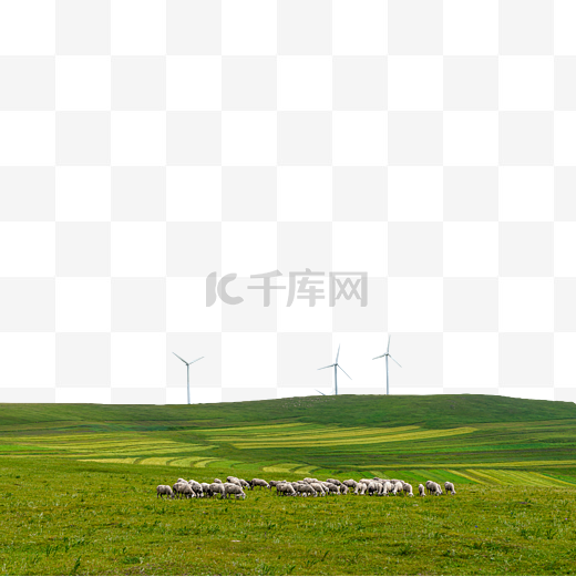 内蒙古高山牧场农田羊群草原农田夏季图片