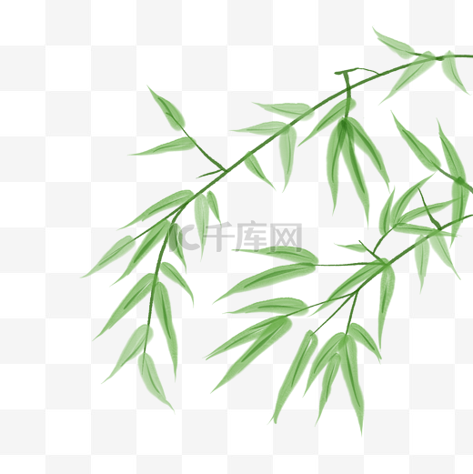 绿竹竹枝枝叶图片