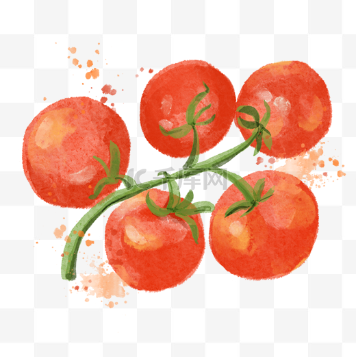 西红柿一串水彩蔬菜图片