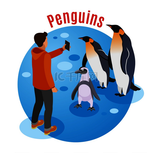 联系动物园等距背景与企鹅家族和人物角色在智能手机上拍摄它们的照片矢量图图片