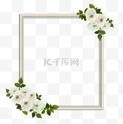 玫瑰花植物花卉白色长方形边框图片