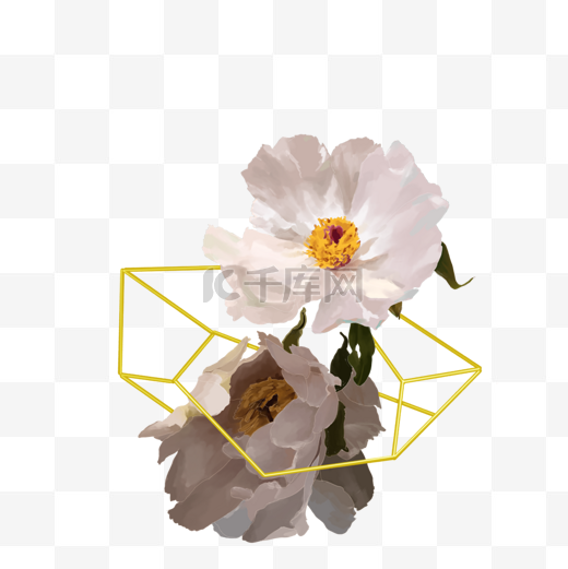 几何金框婚礼花卉洁白花朵图片