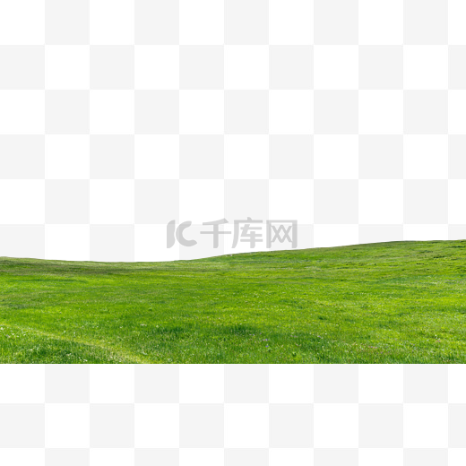 内蒙古辉腾锡勒草原夏季植被图片
