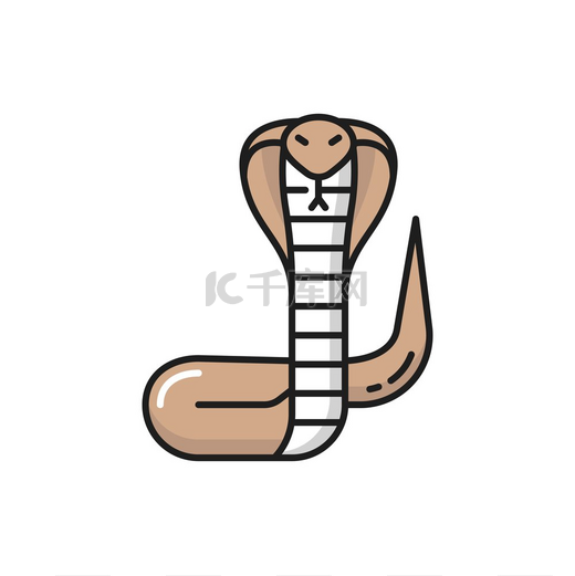 泰国眼镜王蛇毒蛇孤立的彩色线条图标媒介有毒爬行无脊椎动物原产于泰国的彩色毒蛇或响尾蛇眼镜蛇有舌头的蛇眼镜王蛇毒蛇隔离图标图片