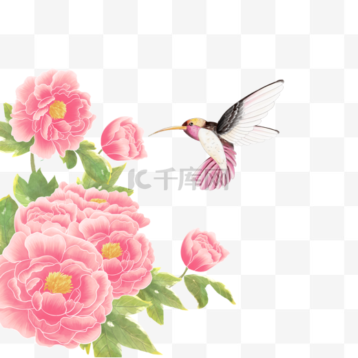 中国风格牡丹花鸟画图片