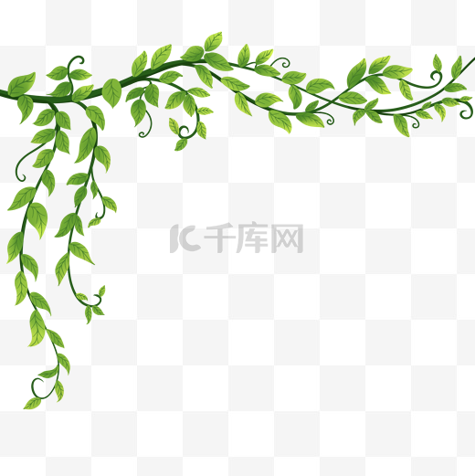清晰叶子藤蔓植物绿植图片