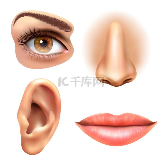 眼耳唇鼻图标集人脸部分4个感官图标眼睛鼻子嘴巴和耳朵的方形集合逼真的矢量插图图片