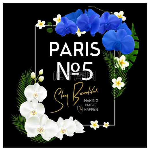 兰花框架香水黑色背景巴黎5香水装饰蓝白相间的盛开兰花黑色背景设计逼真的矢量插图图片
