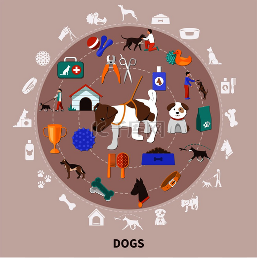 狗狗圆形构图带有平面隔离图像供宠物主人使用带有食品玩具梳理和训练矢量插图狗狗宠物扁平圆圈组合图片