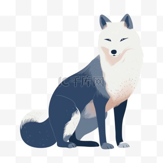 北欧风卡通动物雪狐图片