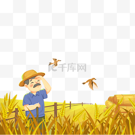 芒种小麦麦芒丰收农民劳动风景金色麦浪麦子图片