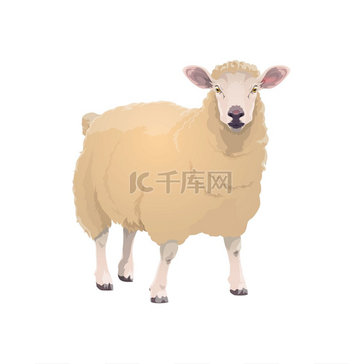 羊羔农场动物标志媒介牛养殖和羊肉食品标志卡通隔离羊羔肉店和农场市场动物标志羊羔农场动物标志牛羊肉图片