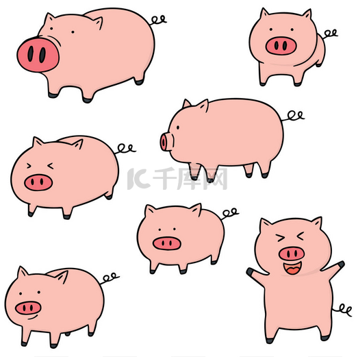 猪的病媒集图片