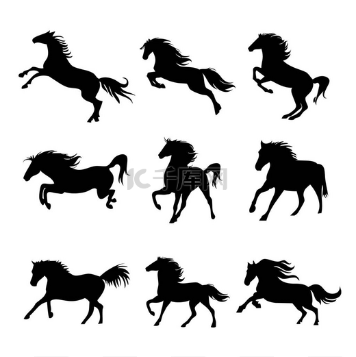 马动物剪影黑色图标平面设计元素矢量插图图片