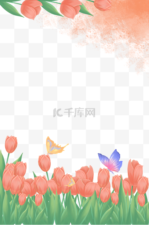 春天植物郁金香海报边框花草花朵图片